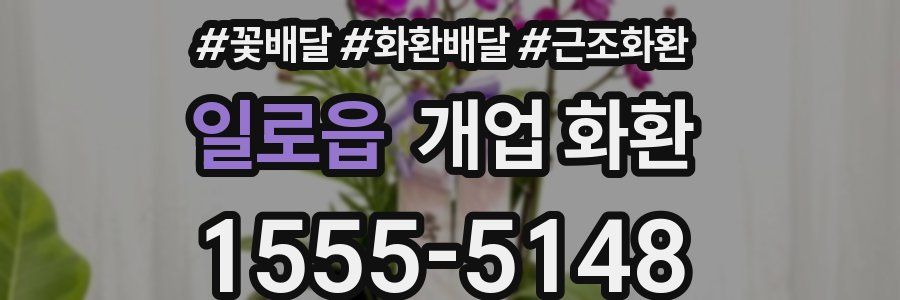 일로읍 개업 화환