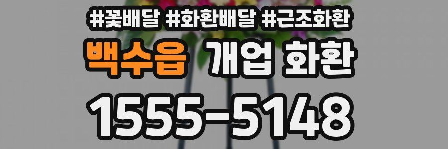 백수읍 개업 화환