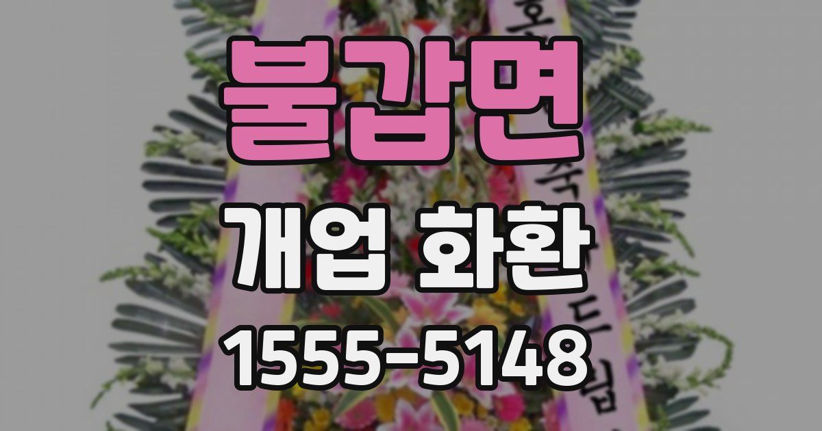 불갑면 개업 화환