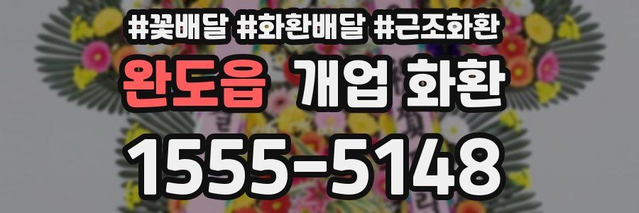 완도읍 개업 화환