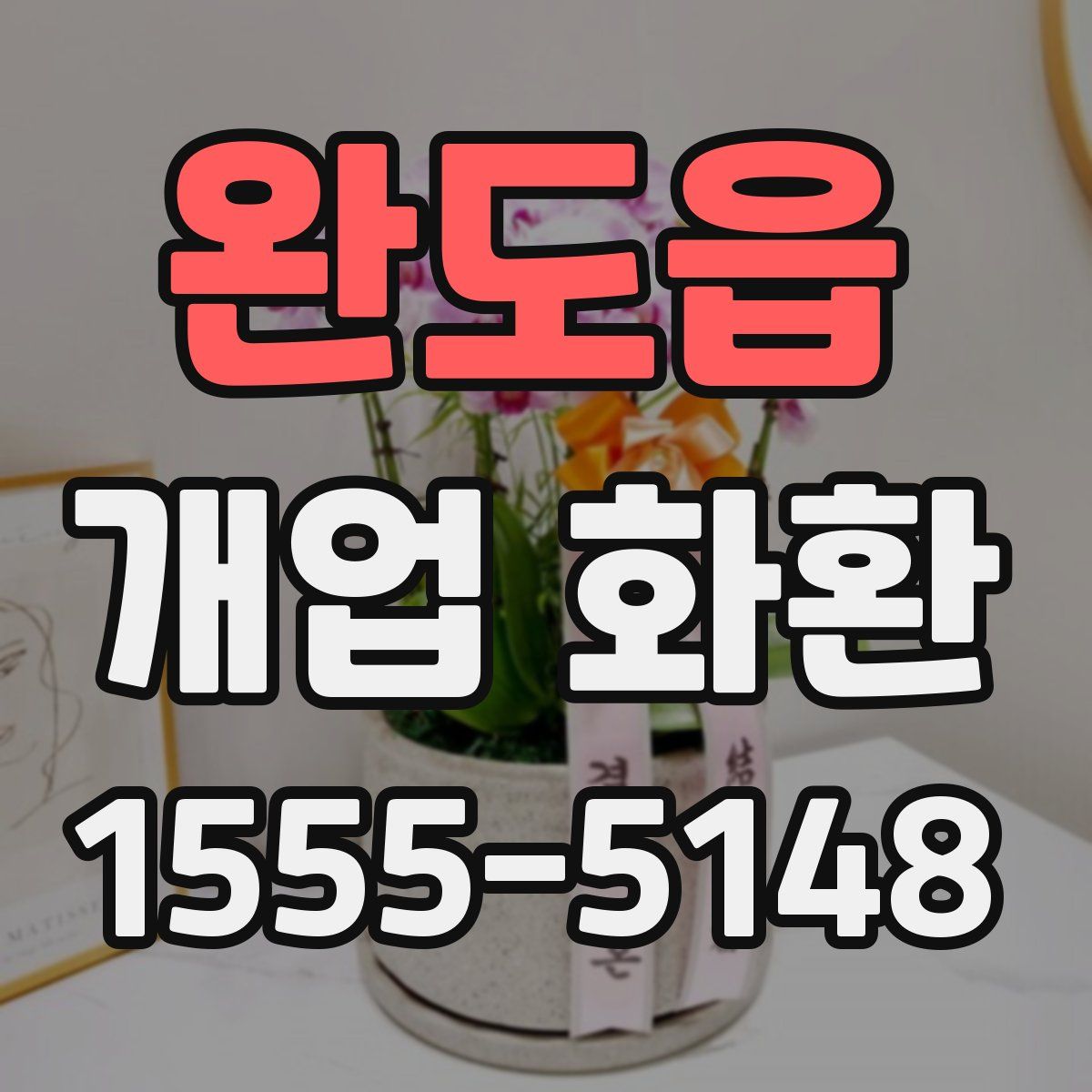 완도읍 개업 화환
