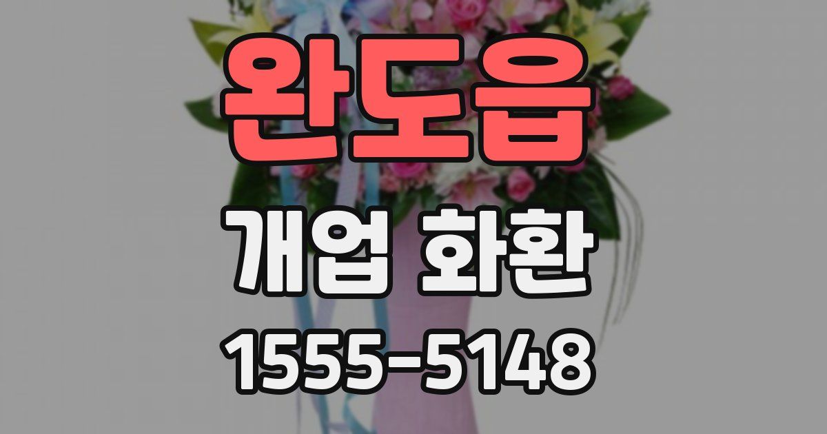 완도읍 개업 화환