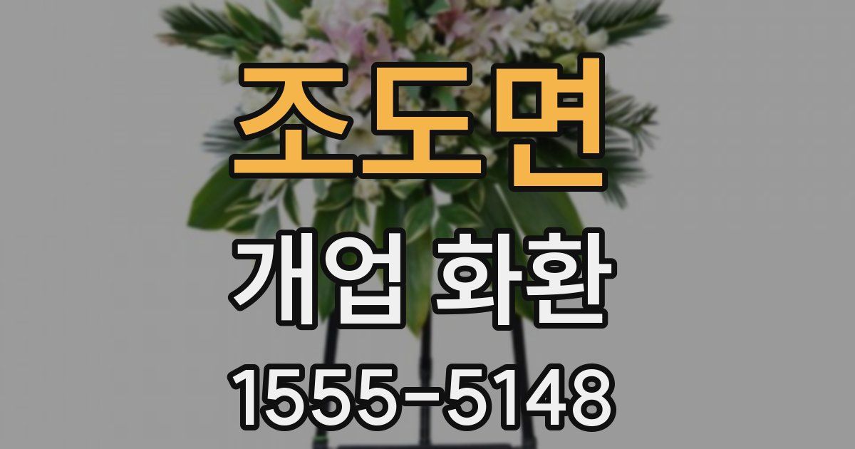 조도면 개업 화환