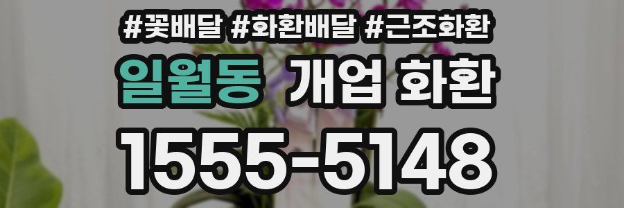 일월동 개업 화환
