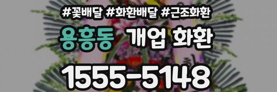 용흥동 개업 화환