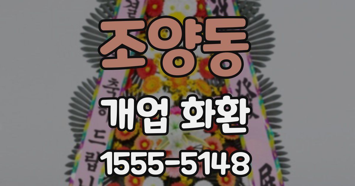 조양동 개업 화환