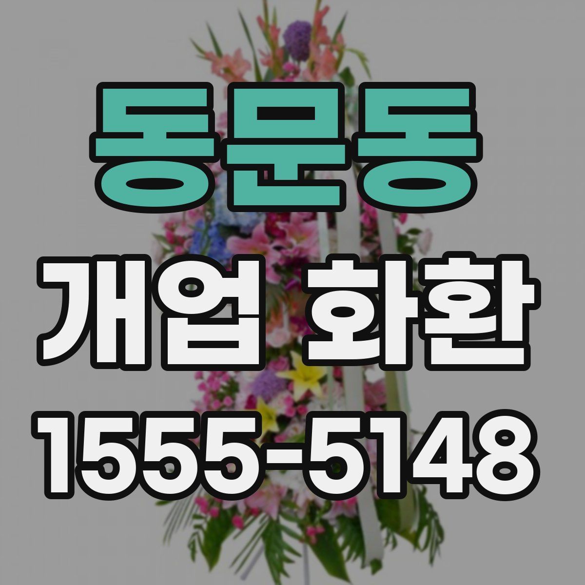 동문동 개업 화환