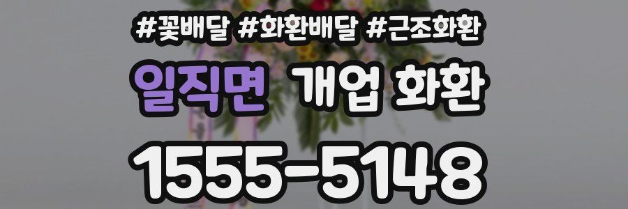 일직면 개업 화환