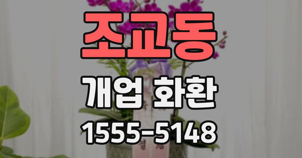 조교동 개업 화환