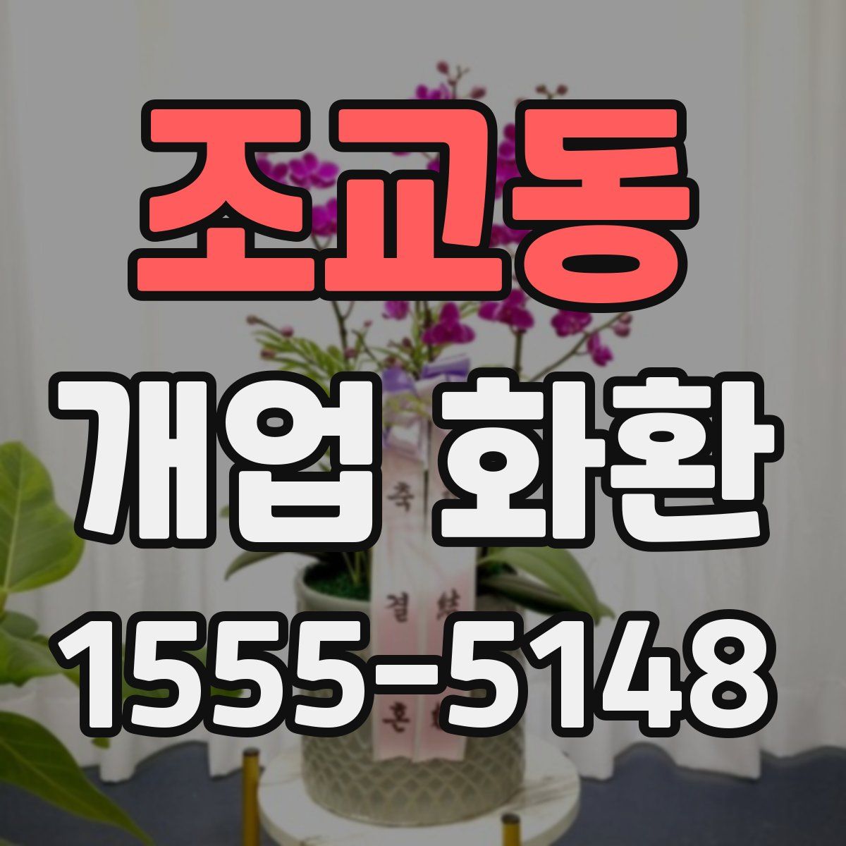 조교동 개업 화환