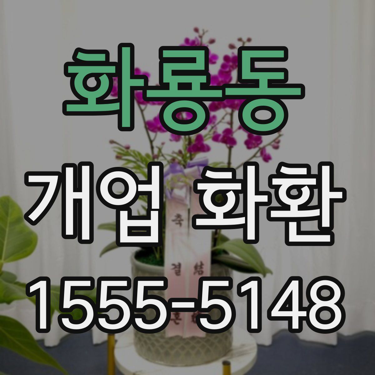 화룡동 개업 화환