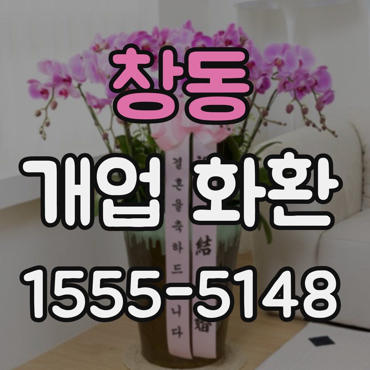 창동 개업 화환