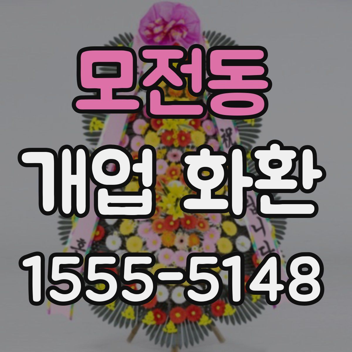모전동 개업 화환