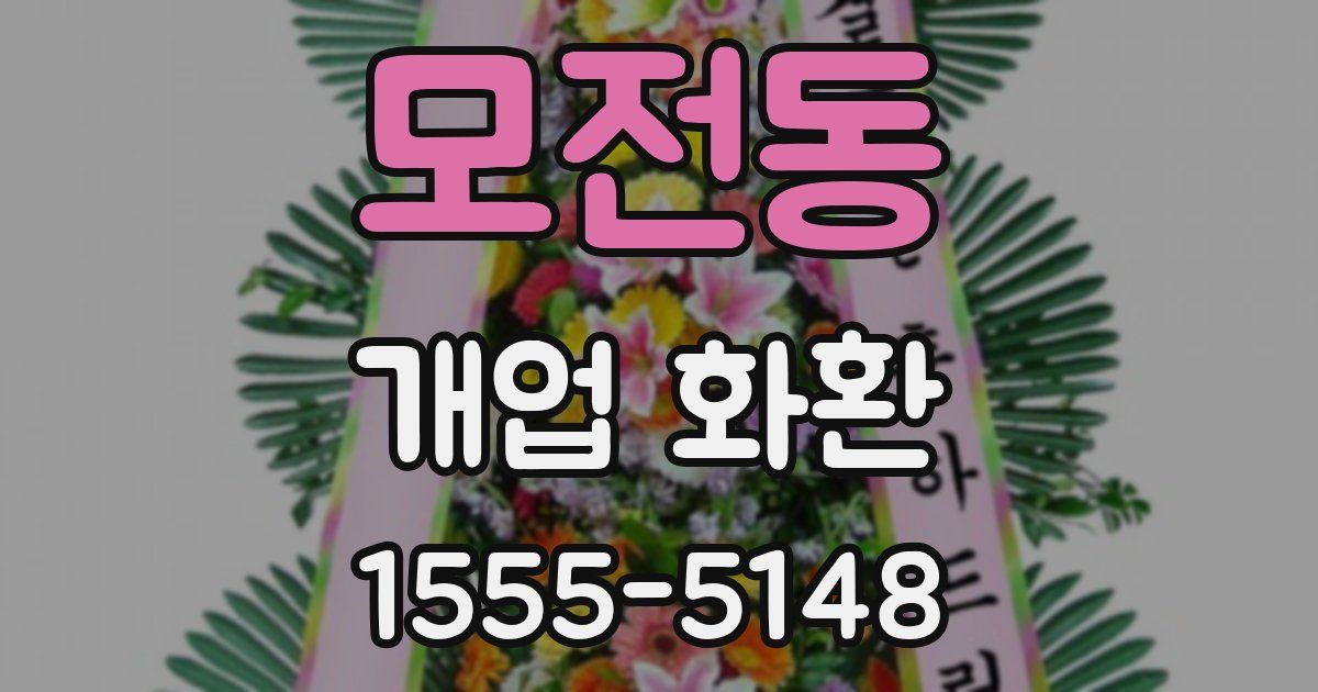 모전동 개업 화환