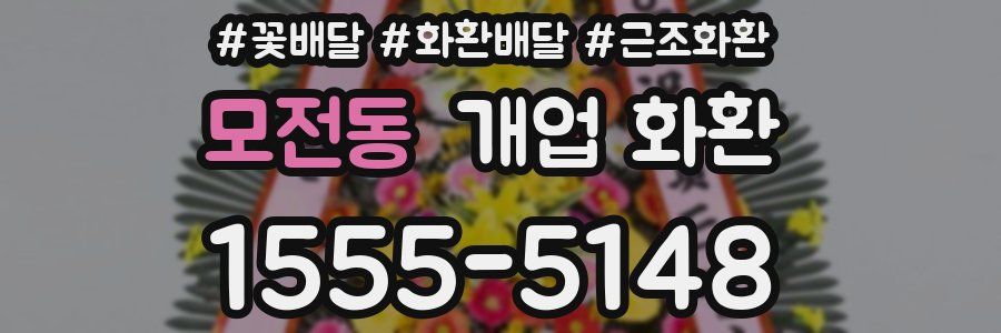 모전동 개업 화환