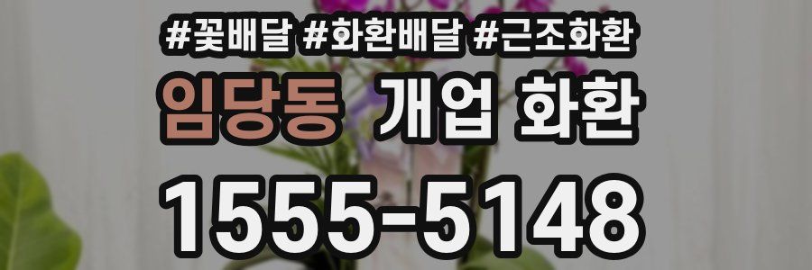 임당동 개업 화환