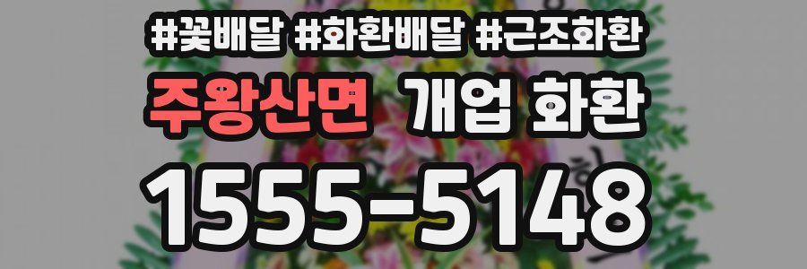 주왕산면 개업 화환