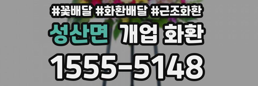 성산면 개업 화환