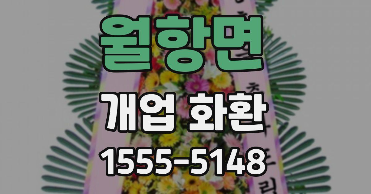 월항면 개업 화환