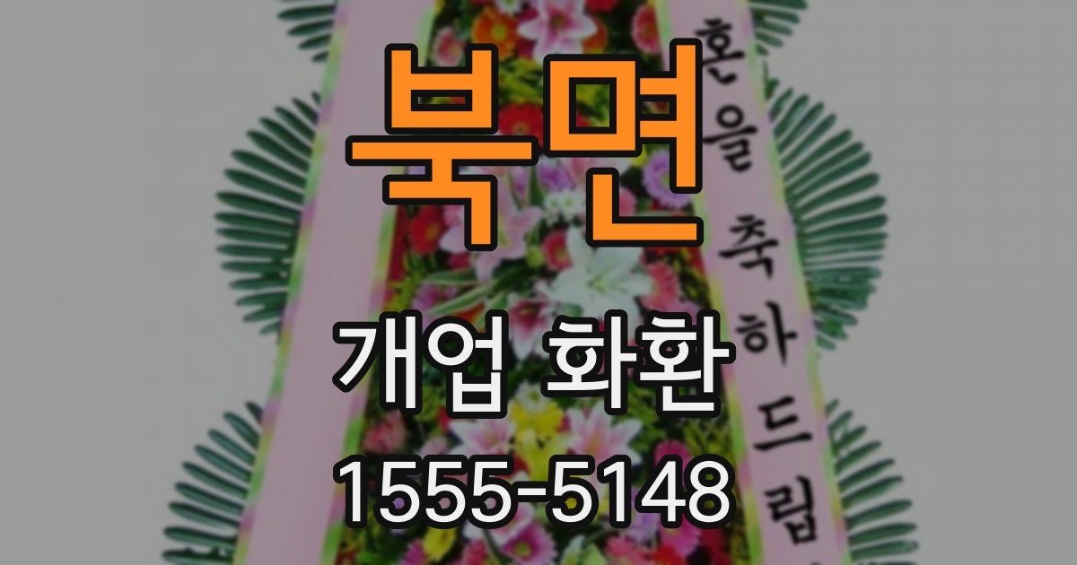 북면 개업 화환