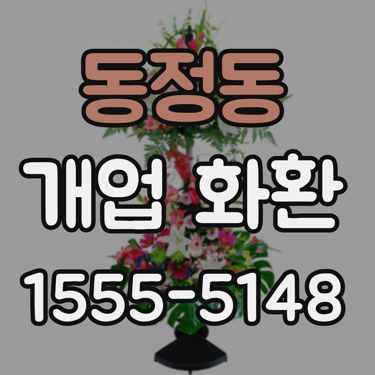 동정동 개업 화환