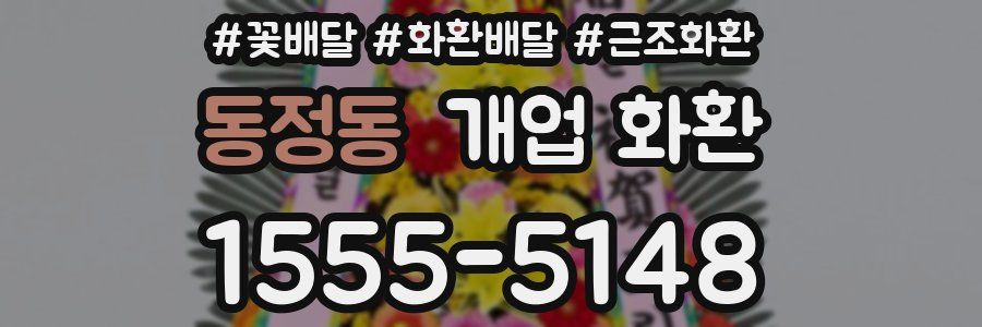 동정동 개업 화환
