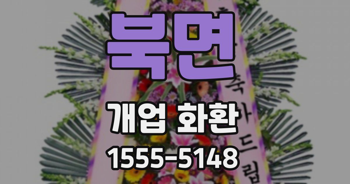 북면 개업 화환