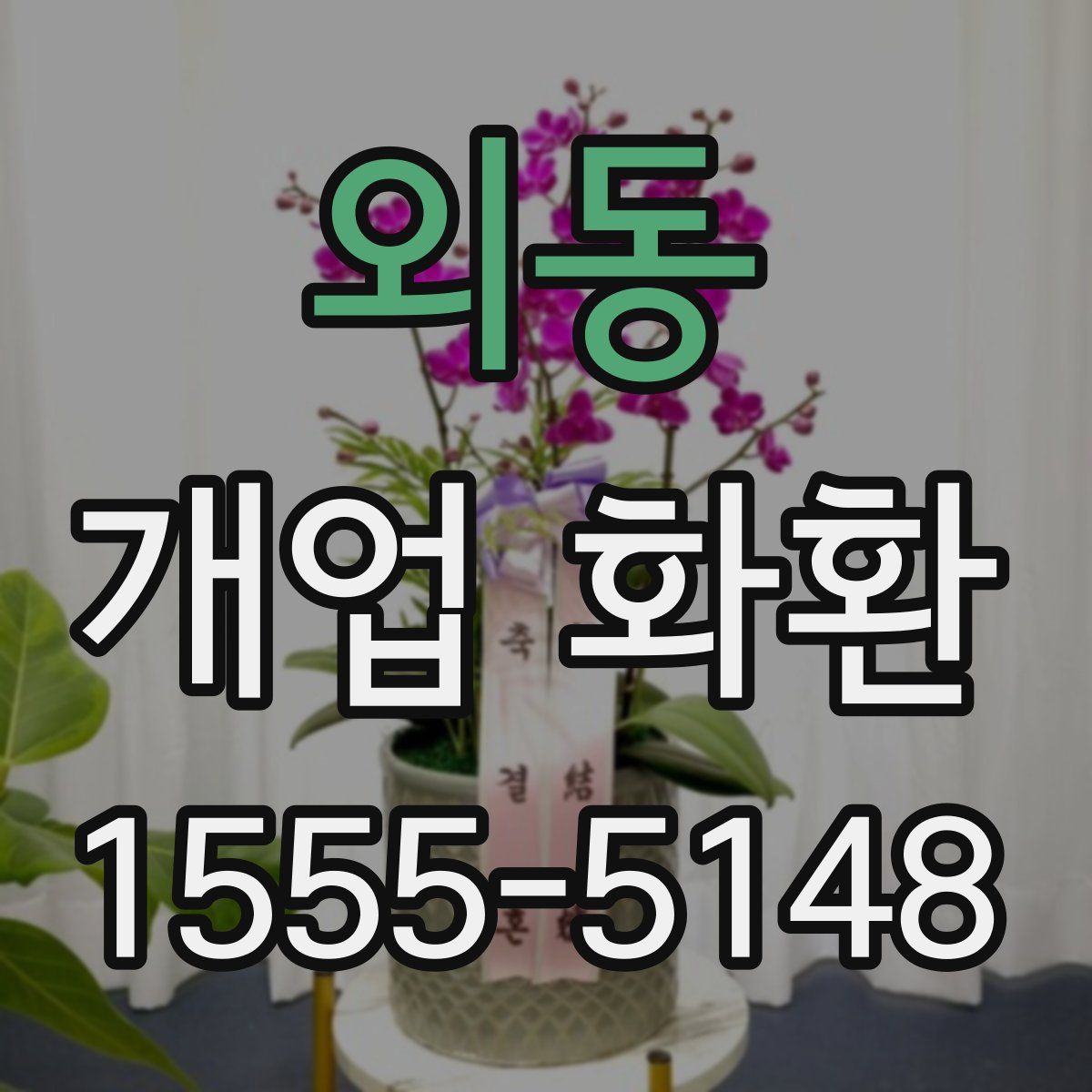 외동 개업 화환