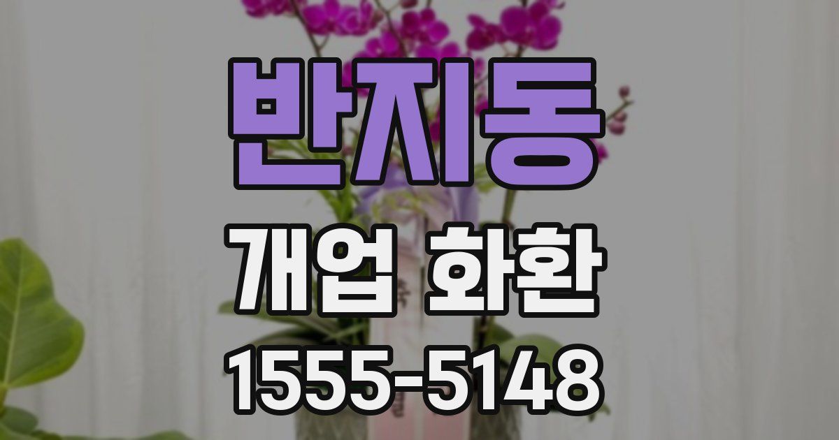 반지동 개업 화환