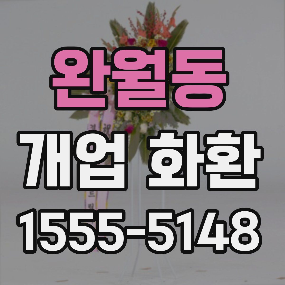 완월동 개업 화환