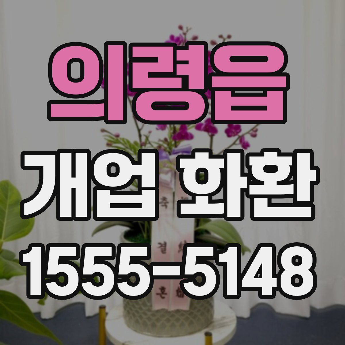의령읍 개업 화환
