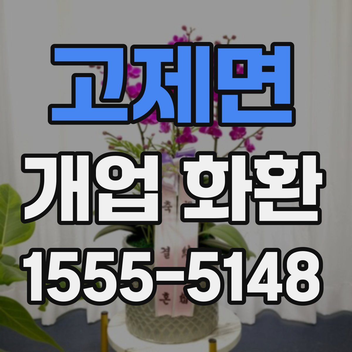 고제면 개업 화환