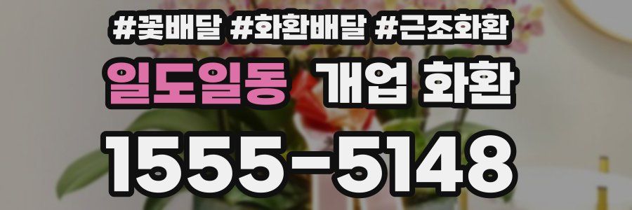 일도일동 개업 화환
