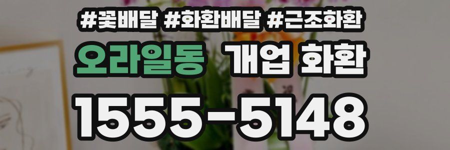 오라일동 개업 화환