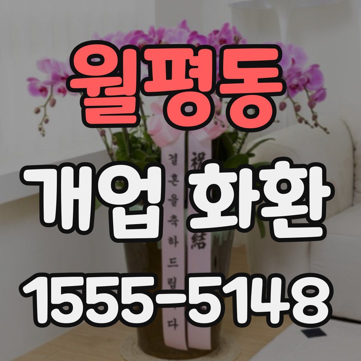 월평동 개업 화환