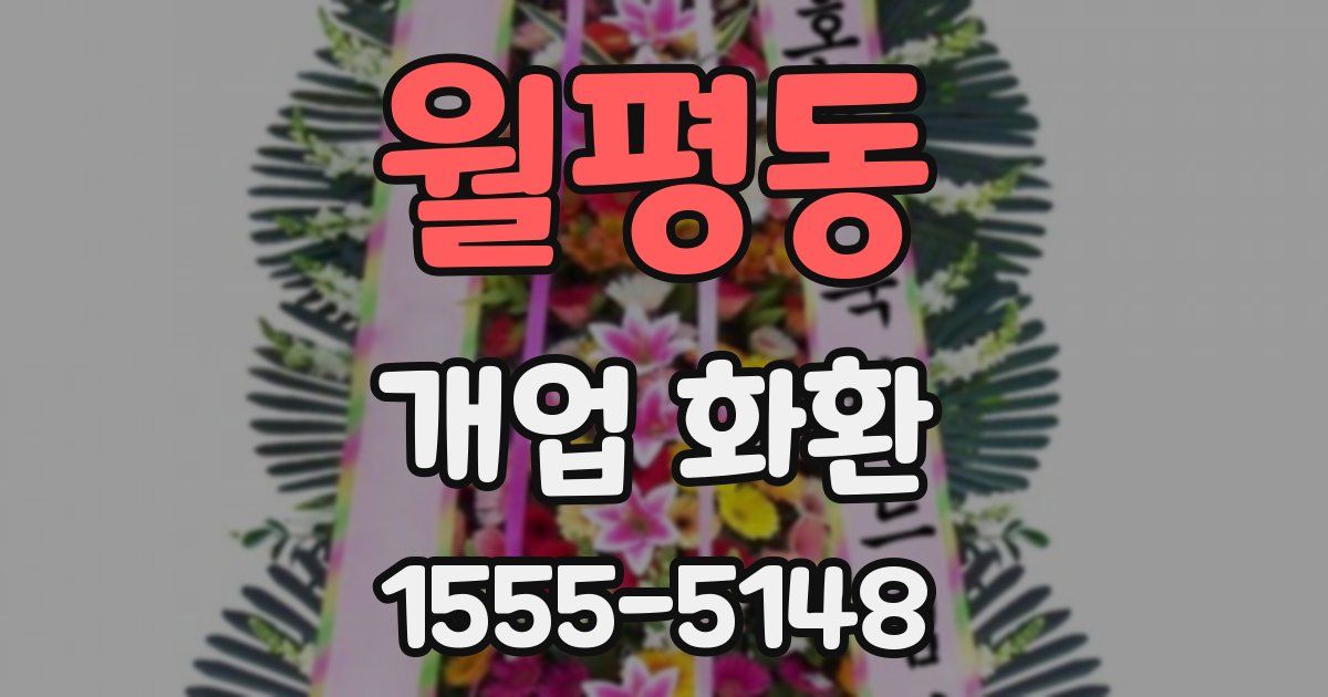 월평동 개업 화환