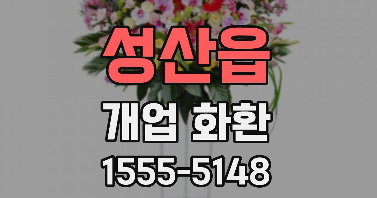 성산읍 개업 화환