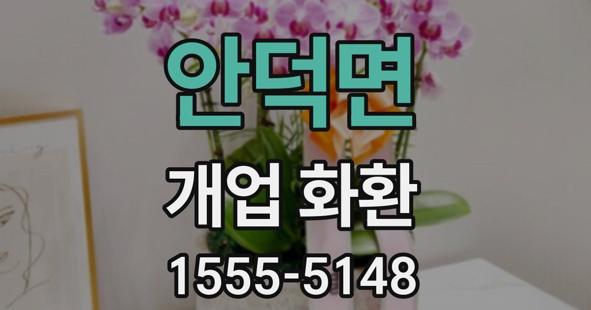안덕면 개업 화환