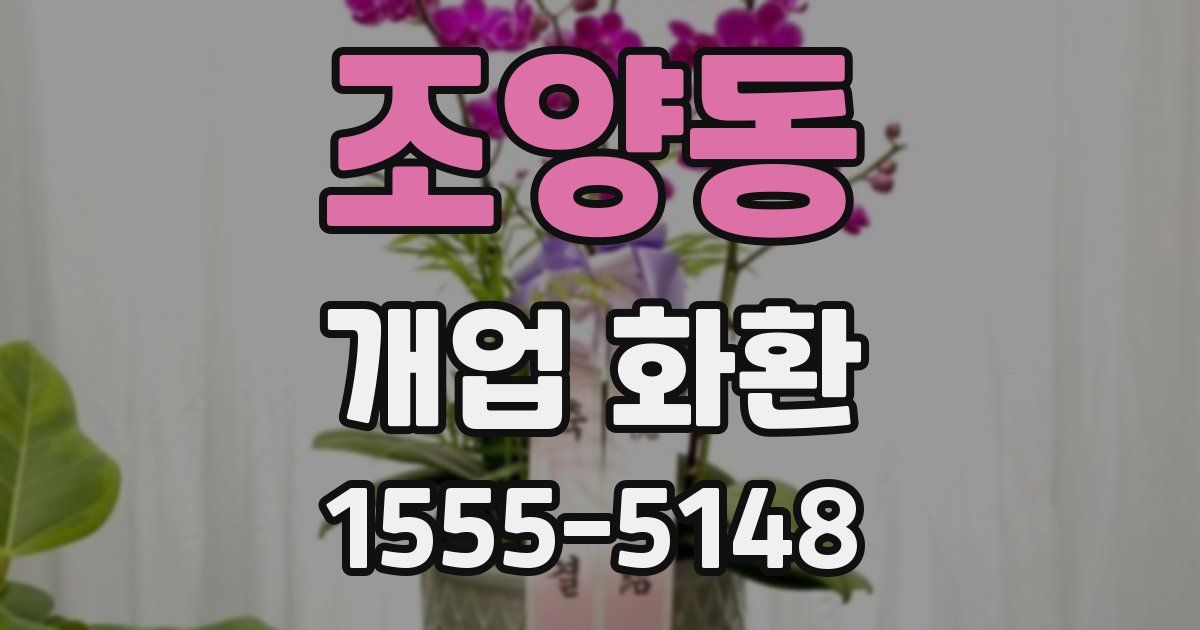 조양동 개업 화환