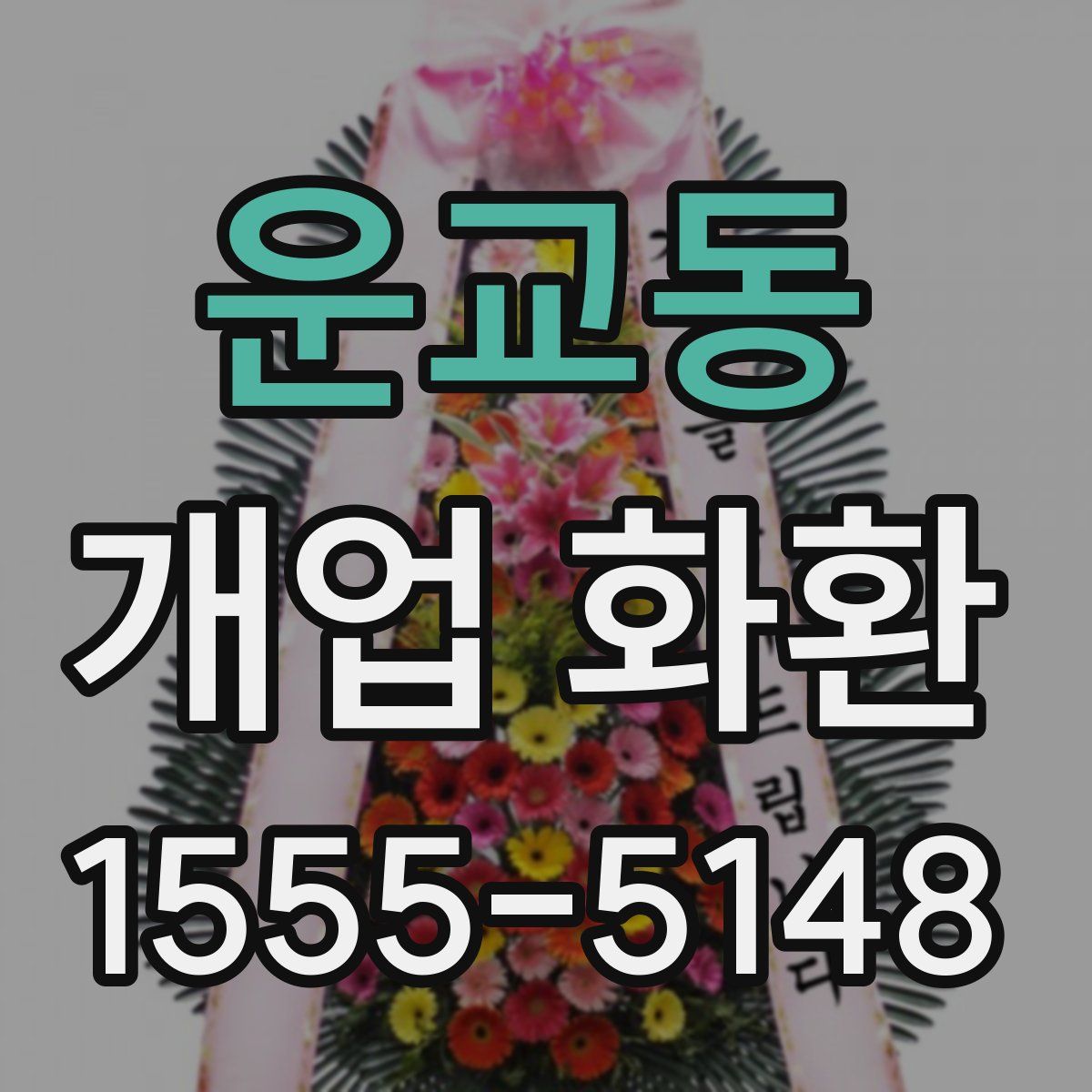 운교동 개업 화환
