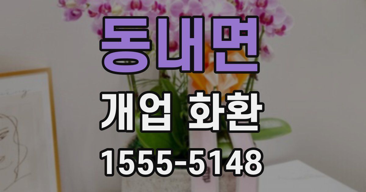 동내면 개업 화환