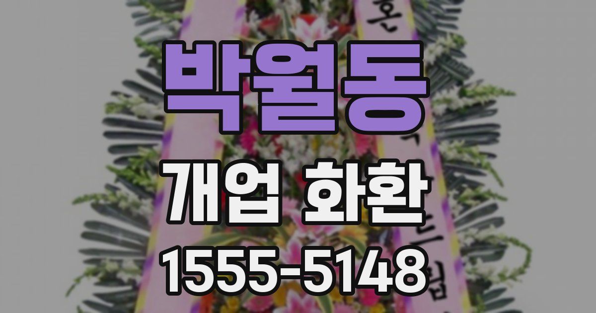 박월동 개업 화환