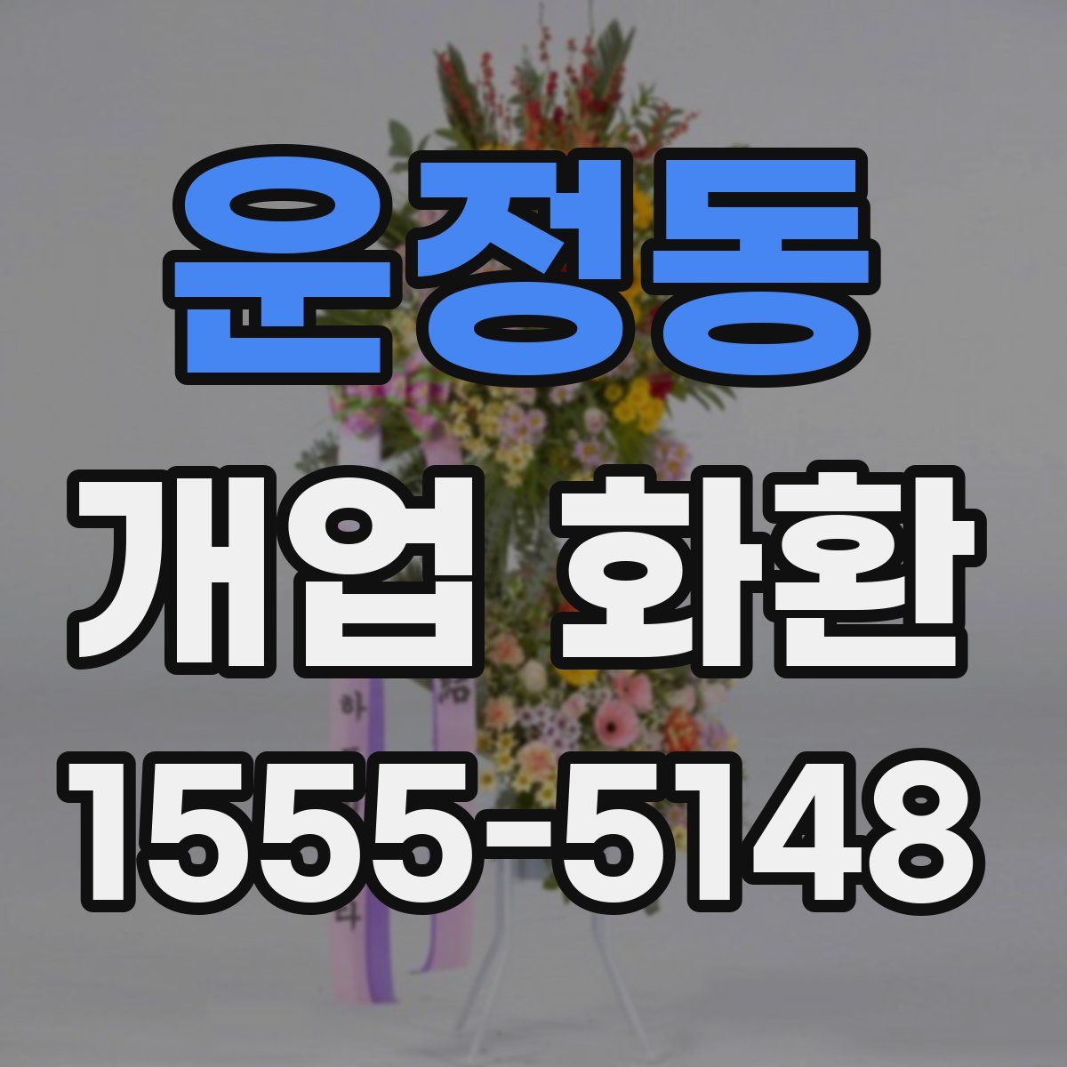 운정동 개업 화환