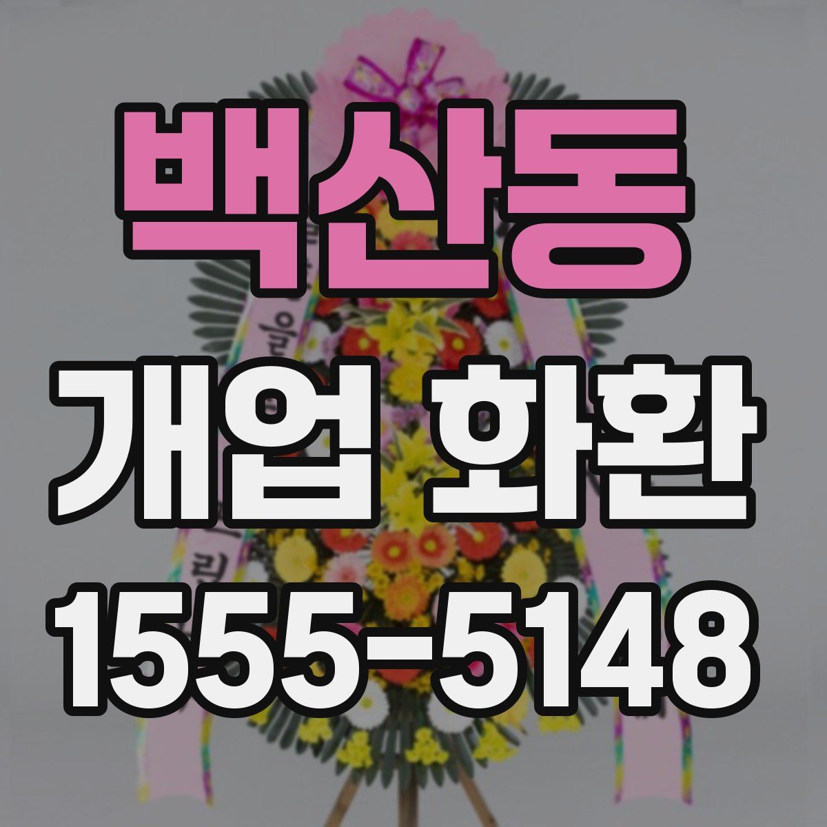 백산동 개업 화환