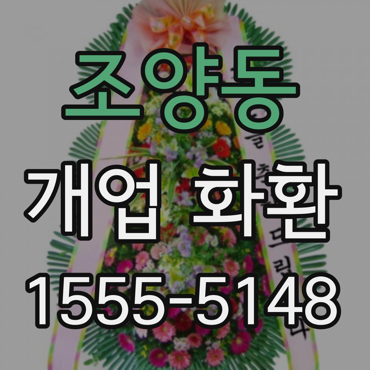 조양동 개업 화환