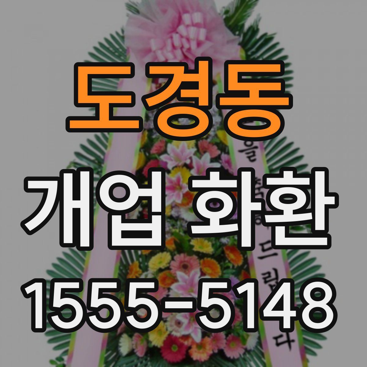 도경동 개업 화환