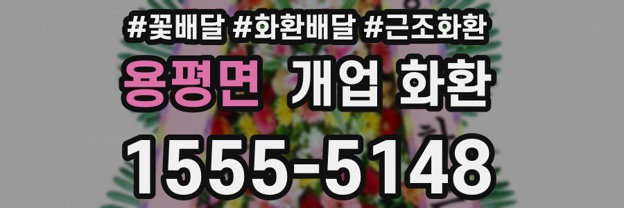 용평면 개업 화환
