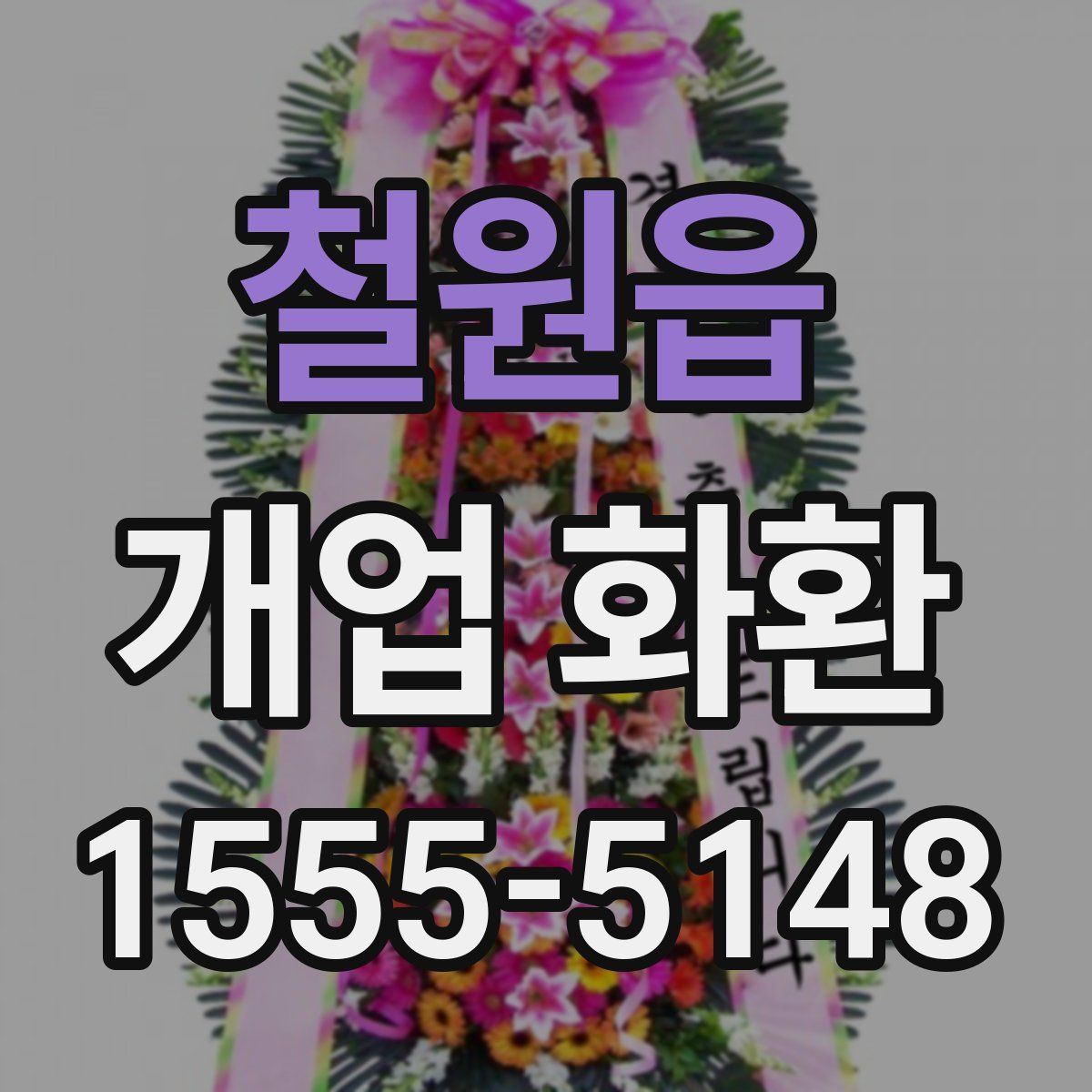 철원읍 개업 화환