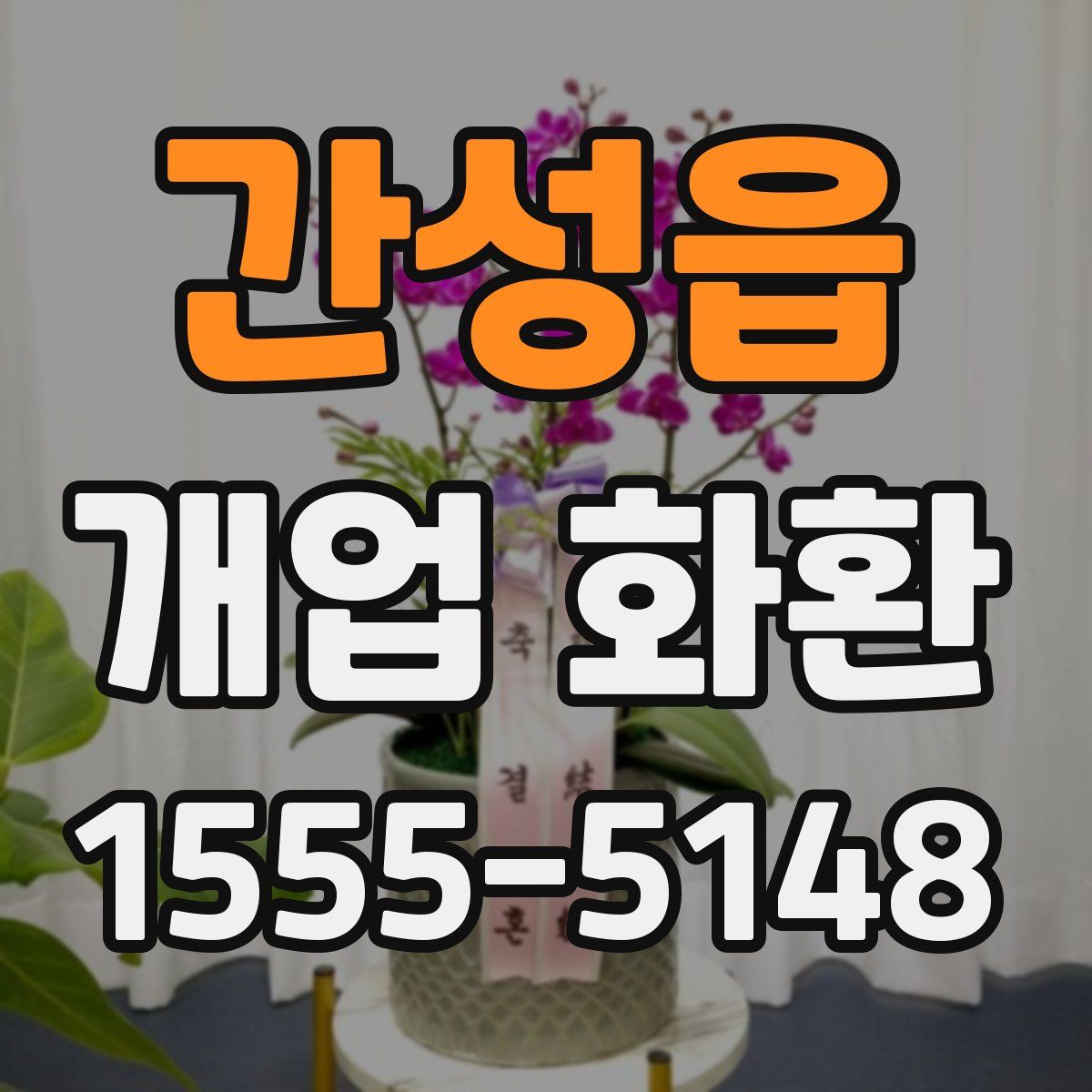 간성읍 개업 화환