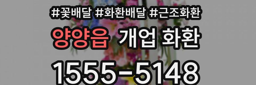 양양읍 개업 화환